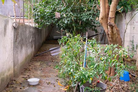 Área comum de casa à venda com 1 quarto, 70m² em Chácara Santo Antônio (zona Leste), São Paulo