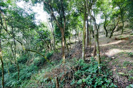 Apartamento à venda com 72m², 2 quartos e 1 vagaVista da Varanda