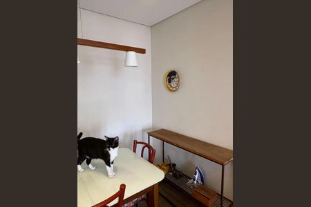 Apartamento à venda com 2 quartos, 53m² em Vila Romana, São Paulo