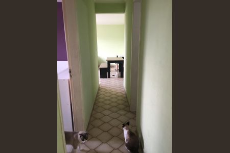 Apartamento para alugar com 3 quartos, 70m² em Vila Cachoeira, São Paulo