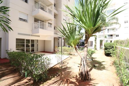 Apartamento à venda com 77m², 3 quartos e 2 vagasÁrea comum 
