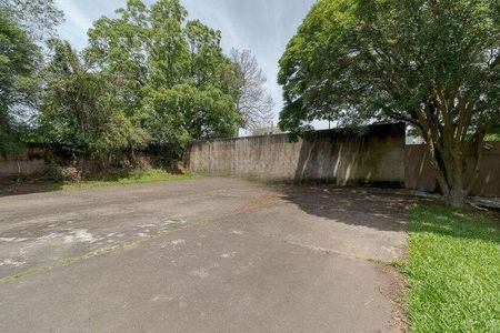 Apartamento para alugar com 1 quarto, 75m² em Vila Ipiranga, Porto Alegre