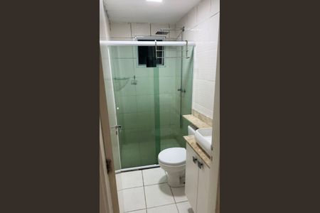 Banheiro de apartamento para alugar com 2 quartos, 46m² em Ponte Grande, Guarulhos