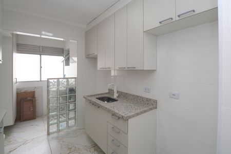 Apartamento para alugar com 55m², 2 quartos e 1 vagaCozinha - Armários