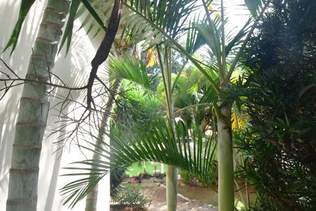 Casa de condomínio para alugar com 460m², 3 quartos e 3 vagasLavabo - Vista