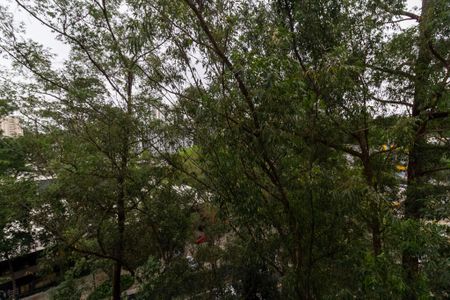 Apartamento para alugar com 50m², 2 quartos e 1 vagaSala Varanda