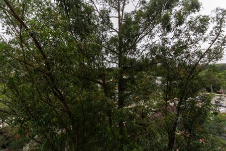 Apartamento para alugar com 50m², 2 quartos e 1 vagaSala Varanda