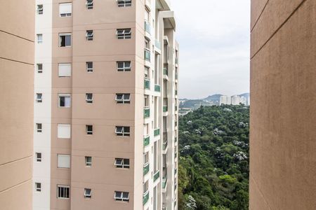 Apartamento para alugar com 156m², 3 quartos e 3 vagas Apartamento para alugar com 156m², 3 quartos e 3 vagasVista da Suíte
