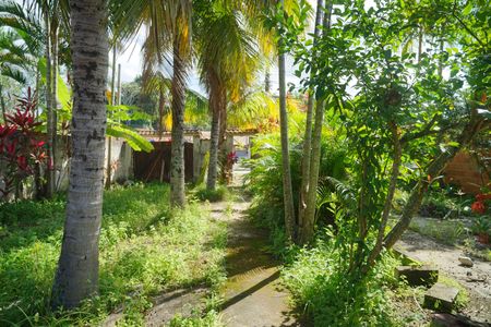 Casa para alugar com 76m², 2 quartos e 2 vagasQuintal