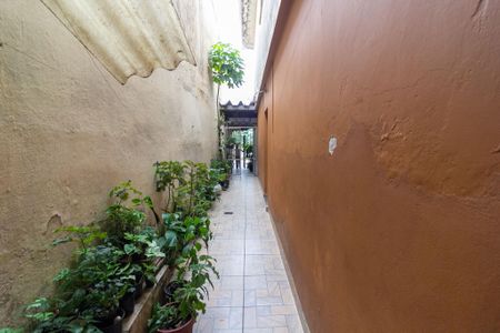 Casa para alugar com 280m², 3 quartos e 2 vagas Casa para alugar com 280m², 3 quartos e 2 vagasHall de entrada