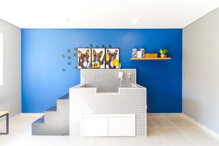 Apartamento para alugar com 32m², 2 quartos e sem vaga Apartamento para alugar com 32m², 2 quartos e sem vagaPet Care