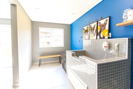 Apartamento para alugar com 32m², 2 quartos e sem vaga Apartamento para alugar com 32m², 2 quartos e sem vagaPet Care