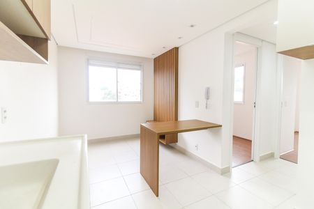 Sala/Cozinha de apartamento para alugar com 2 quartos, 32m² em Vila Carmosina, São Paulo