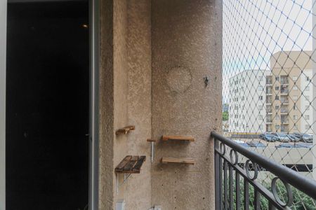 Varanda da Sala de apartamento para alugar com 2 quartos, 48m² em Jardim Vila Formosa, São Paulo