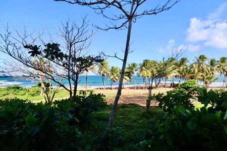 Apartamento para alugar com 70m², 2 quartos e 1 vagaVista área comum 