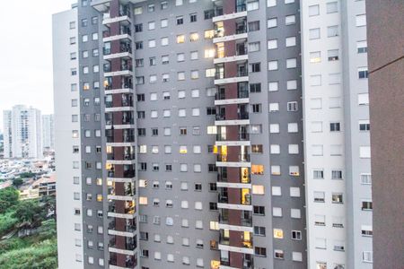 Apartamento para alugar com 60m², 2 quartos e 1 vagaVista da Suíte