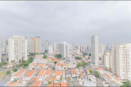 Apartamento à venda com 81m², 2 quartos e 2 vagasVista