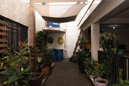 Casa para alugar com 300m², 6 quartos e 3 vagasQuintal