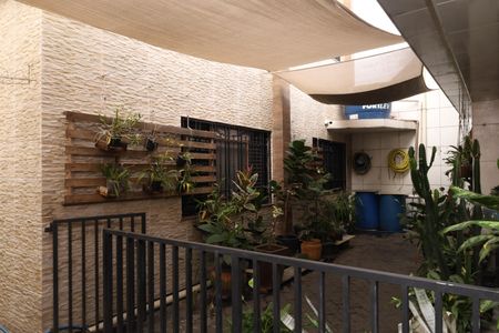 Casa para alugar com 300m², 6 quartos e 3 vagasQuintal
