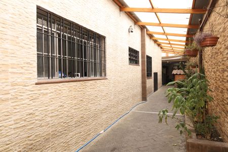 Casa para alugar com 300m², 6 quartos e 3 vagasQuintal