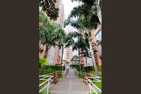 Apartamento para alugar com 50m², 2 quartos e 1 vagaÁrea comum