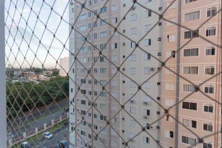 Vista do Quarto 2 de apartamento para alugar com 2 quartos, 46m² em Fundacao da Casa Popular, Campinas