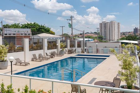 Área comum - Piscina de apartamento para alugar com 2 quartos, 46m² em Fundacao da Casa Popular, Campinas