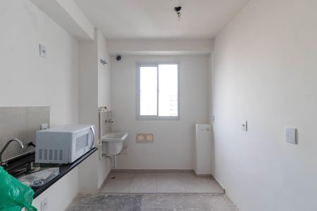 Apartamento para alugar com 36m², 2 quartos e sem vagaCozinha