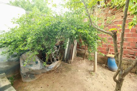 Casa para alugar com 49m², 1 quarto e 1 vagaQuintal