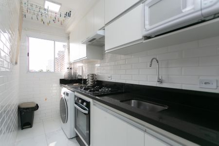 Apartamento para alugar com 50m², 3 quartos e 1 vagaCozinha / Área de Serviço 