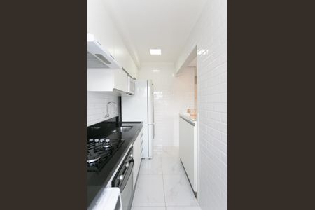 Apartamento para alugar com 50m², 3 quartos e 1 vagaCozinha / Área de Serviço 