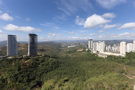 Vista da Suíte 1 de apartamento para alugar com 4 quartos, 199m² em Piemonte, Belo Horizonte
