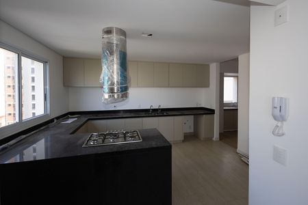 Cozinha de apartamento para alugar com 4 quartos, 199m² em Piemonte, Belo Horizonte