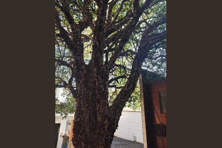 Foto 46 de casa à venda com 3 quartos, 360m² em Vila Firmiano Pinto, São Paulo