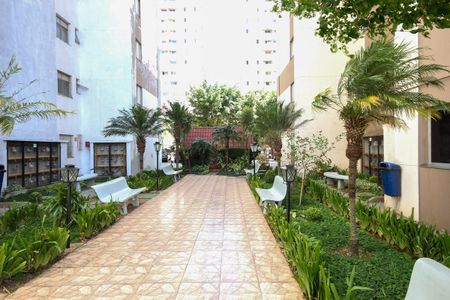 Apartamento para alugar com 64m², 3 quartos e 1 vaga Apartamento para alugar com 64m², 3 quartos e 1 vagaÁrea comum
