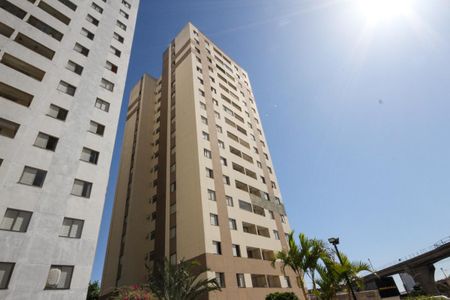 Apartamento para alugar com 64m², 3 quartos e 1 vaga