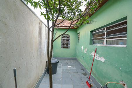 Casa para alugar com 250m², 4 quartos e 3 vagasQuintal