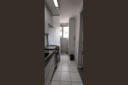 Cozinha de apartamento para alugar com 2 quartos, 47m² em Chácaras São Martinho, Campinas