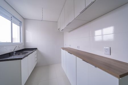 Apartamento para alugar com 52m², 2 quartos e 1 vagaCozinha