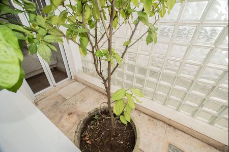 Casa para alugar com 150m², 3 quartos e 2 vagasVista da Suíte 1