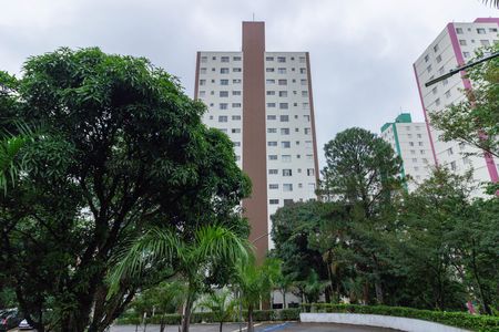 Apartamento à venda com 52m², 2 quartos e 1 vaga