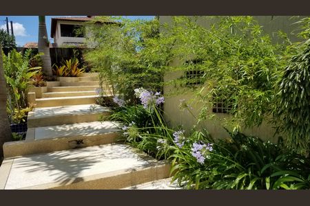 Casa para alugar com 800m², 4 quartos e 6 vagas Casa para alugar com 800m², 4 quartos e 6 vagasÁrea externa