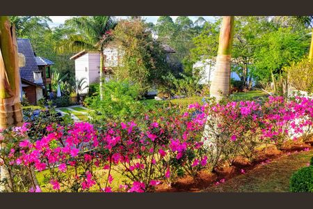 Casa para alugar com 800m², 4 quartos e 6 vagas Casa para alugar com 800m², 4 quartos e 6 vagasÁrea externa