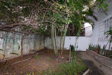 Casa para alugar com 550m², 3 quartos e 8 vagasJardim