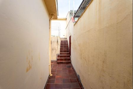 Casa para alugar com 327m², 3 quartos e 3 vagasQuintal