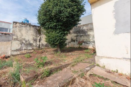 Casa para alugar com 327m², 3 quartos e 3 vagasQuintal