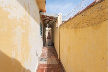 Casa para alugar com 327m², 3 quartos e 3 vagasQuintal