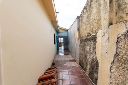 Casa para alugar com 327m², 3 quartos e 3 vagasQuintal