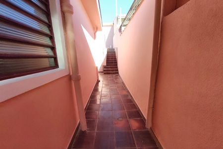 Corredor - Quintal de casa para alugar com 3 quartos, 327m² em Vila Carminha, Campinas