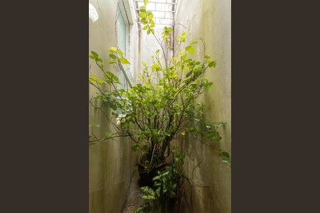 Casa para alugar com 140m², 3 quartos e sem vaga Casa para alugar com 140m², 3 quartos e sem vagaJardim de Inverno